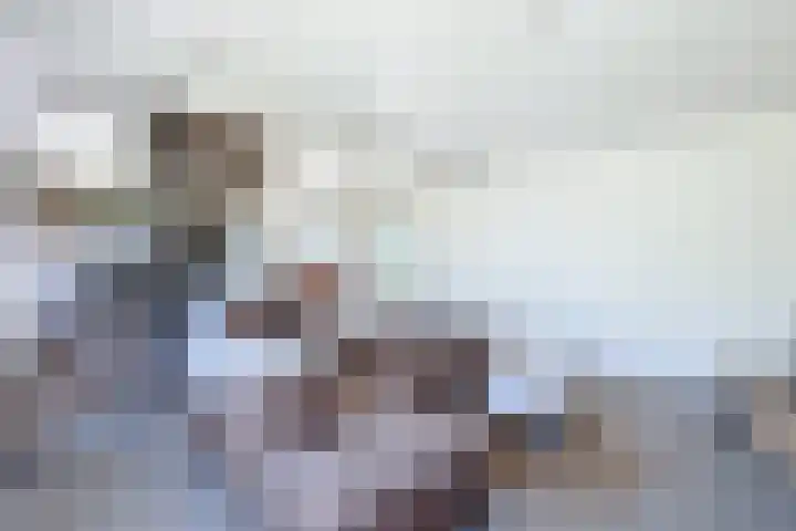 Zuidlangeweg 5 Biervliet thumbnail 5