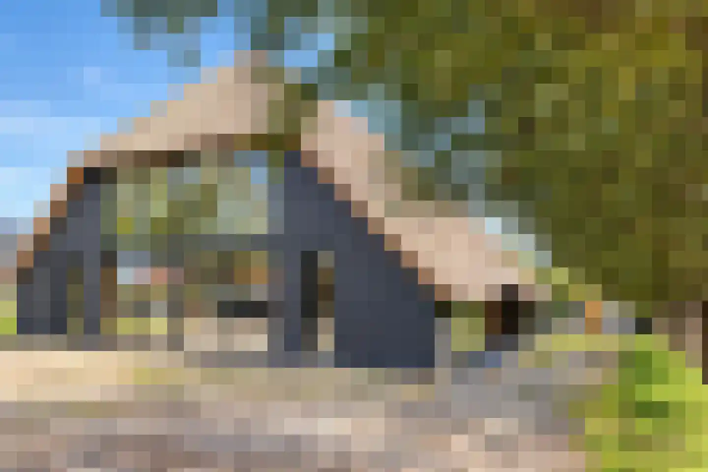 Zuidlangeweg 6 b Oudemolen thumbnail 11