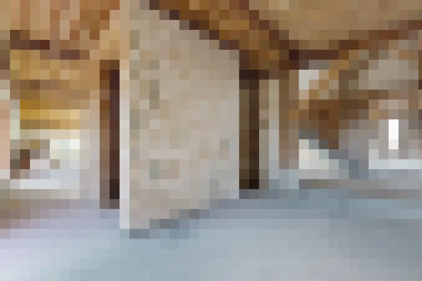 Zuidlangeweg 6 b Oudemolen thumbnail 11