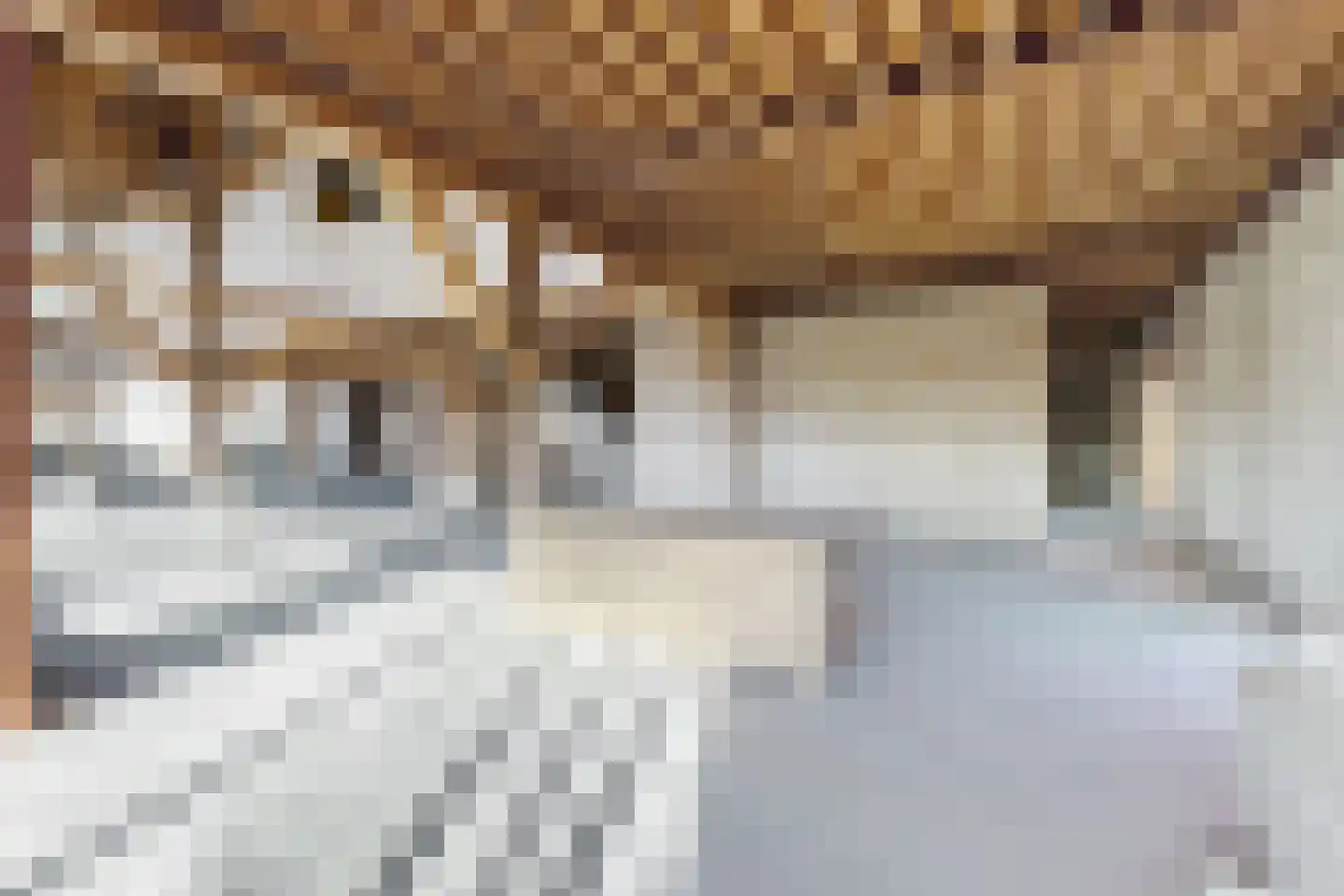 Zuidlangeweg 6 b Oudemolen thumbnail 13