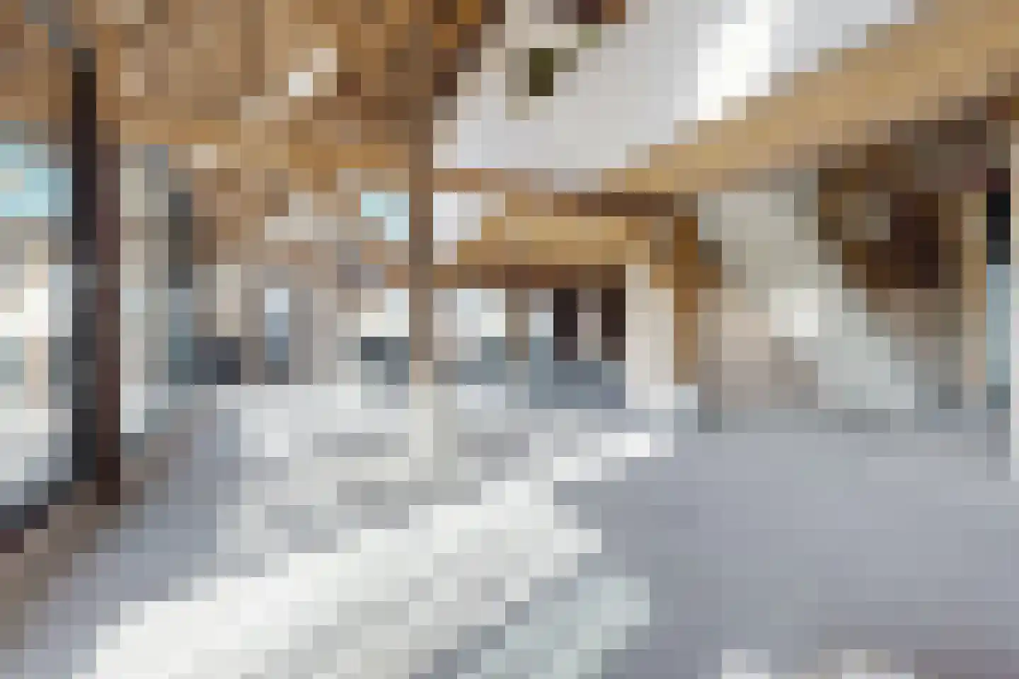 Zuidlangeweg 6 b Oudemolen thumbnail 14