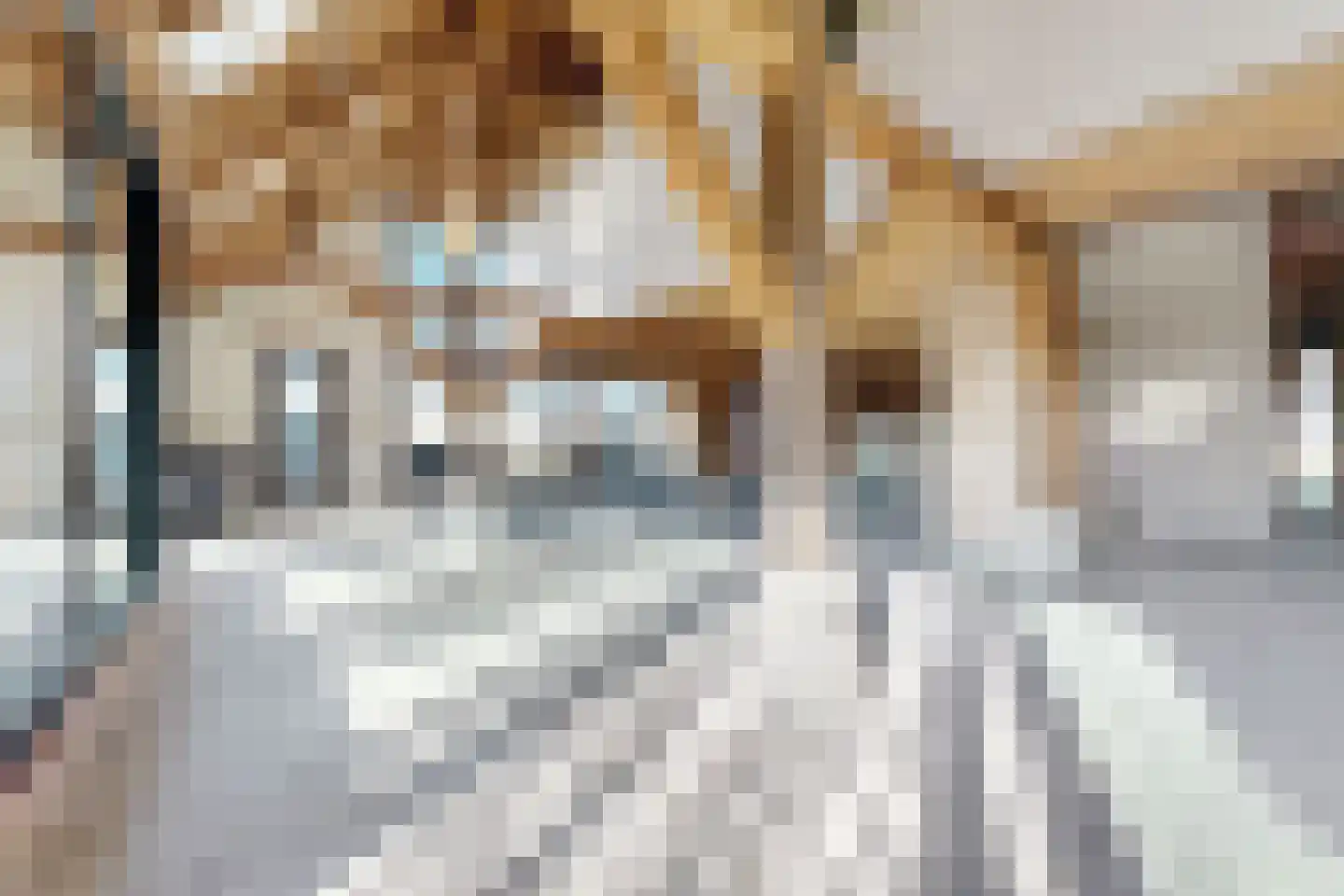 Zuidlangeweg 6 b Oudemolen thumbnail 15