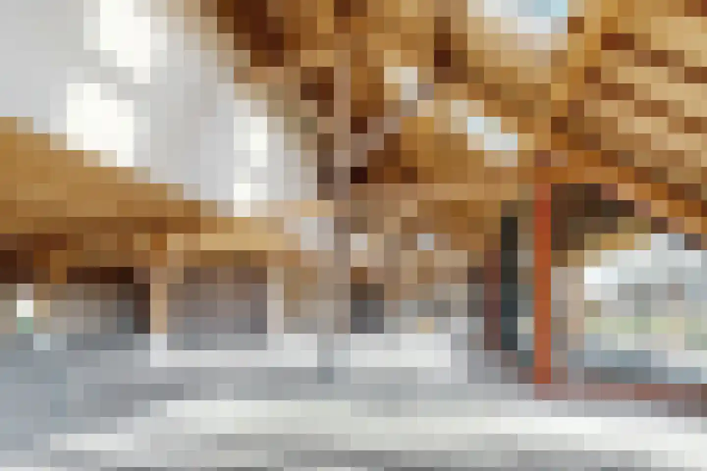 Zuidlangeweg 6 b Oudemolen thumbnail 17