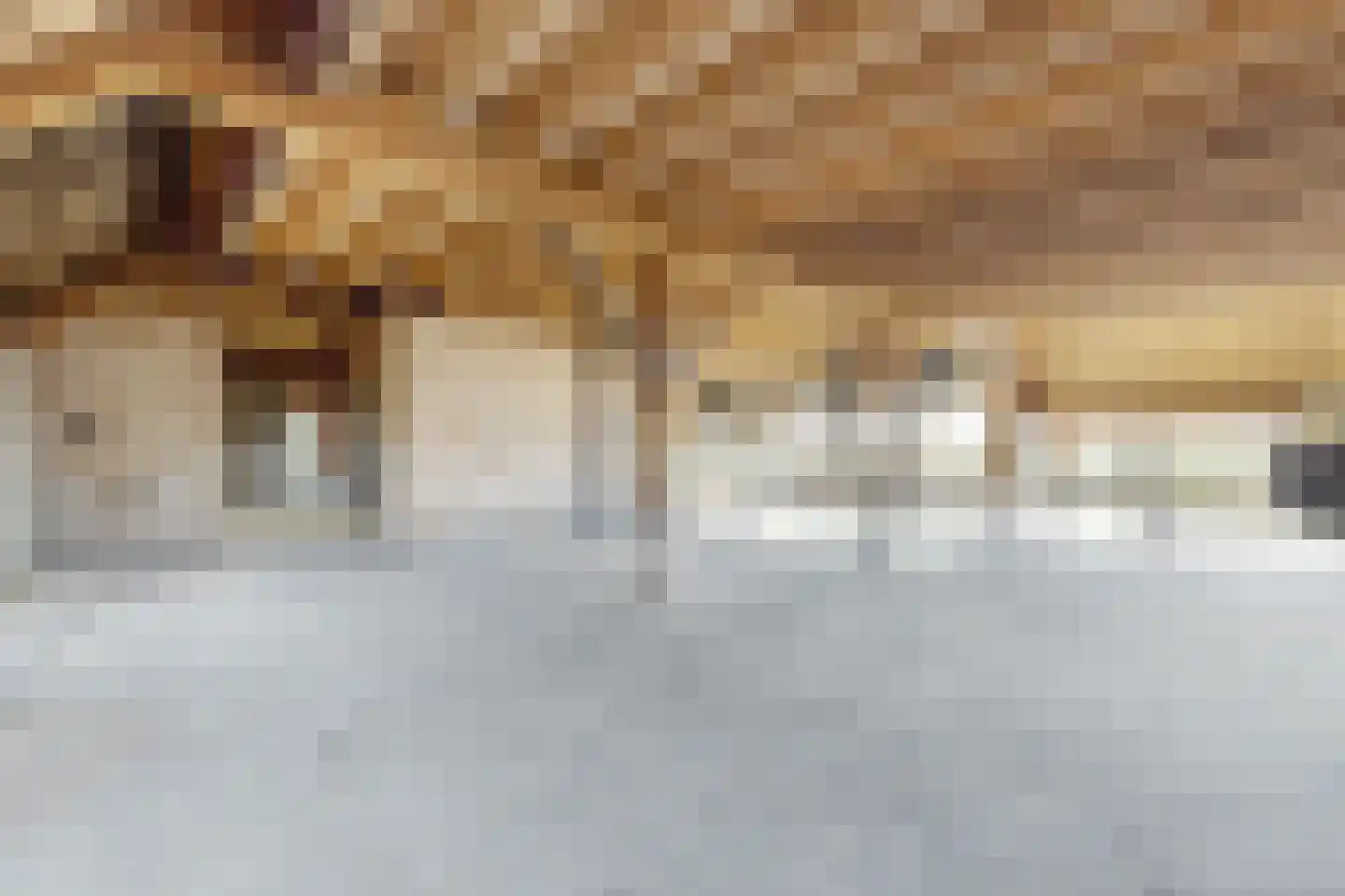 Zuidlangeweg 6 b Oudemolen thumbnail 21