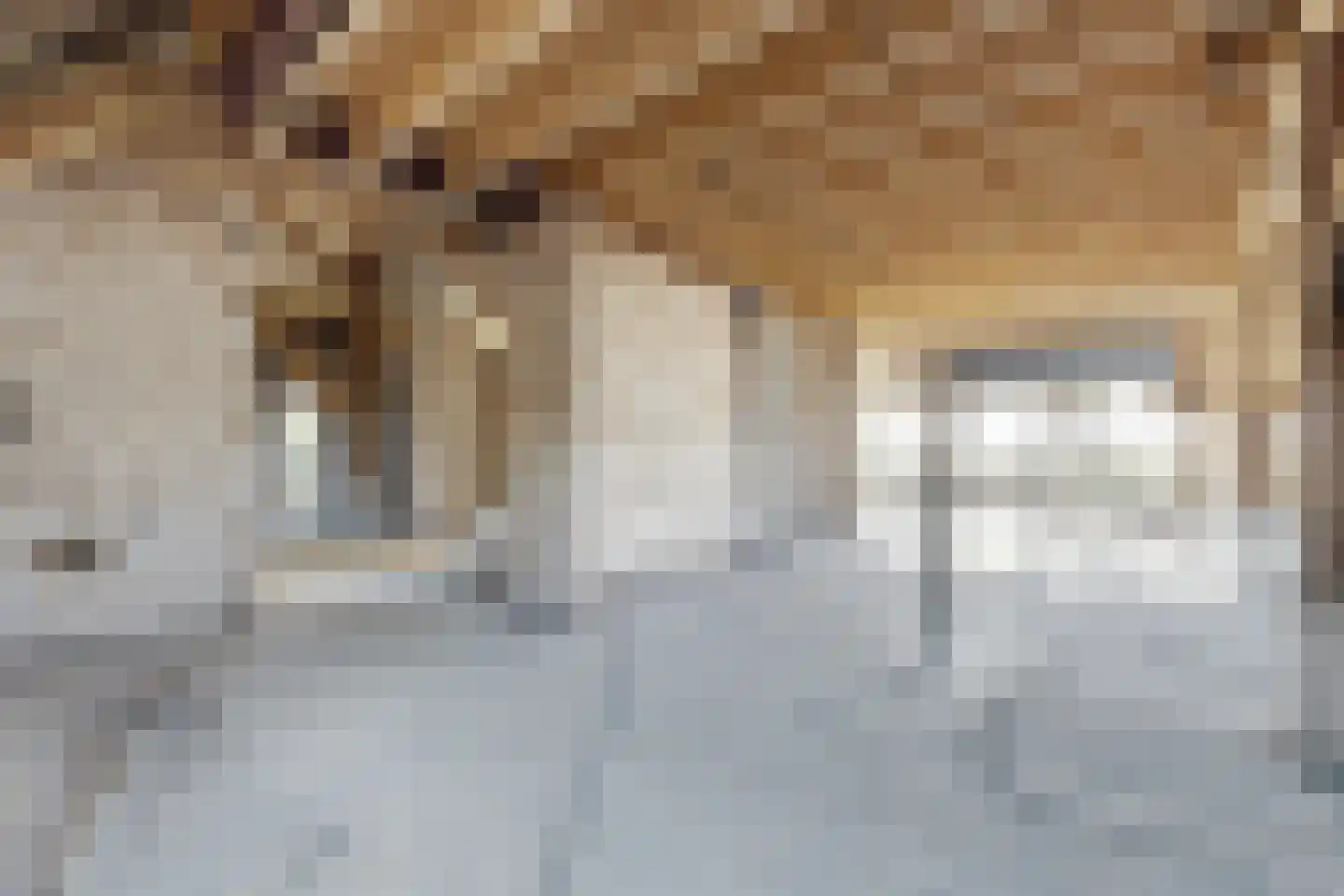 Zuidlangeweg 6 b Oudemolen thumbnail 22