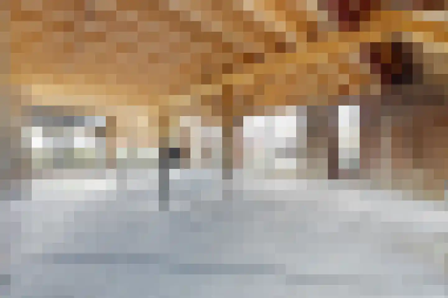 Zuidlangeweg 6 b Oudemolen thumbnail 23