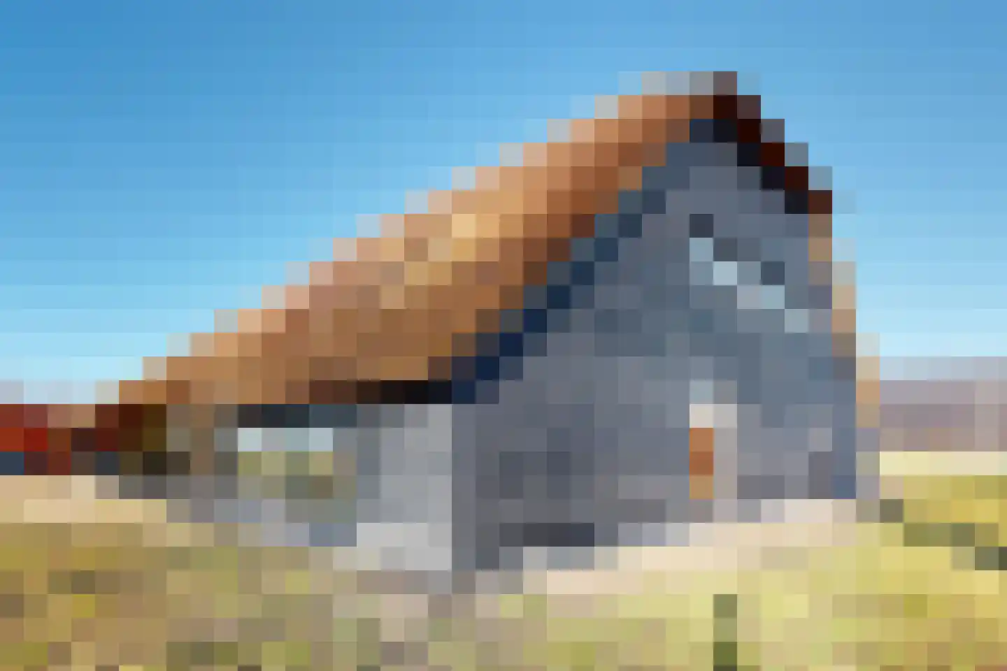 Zuidlangeweg 6 b Oudemolen thumbnail 34