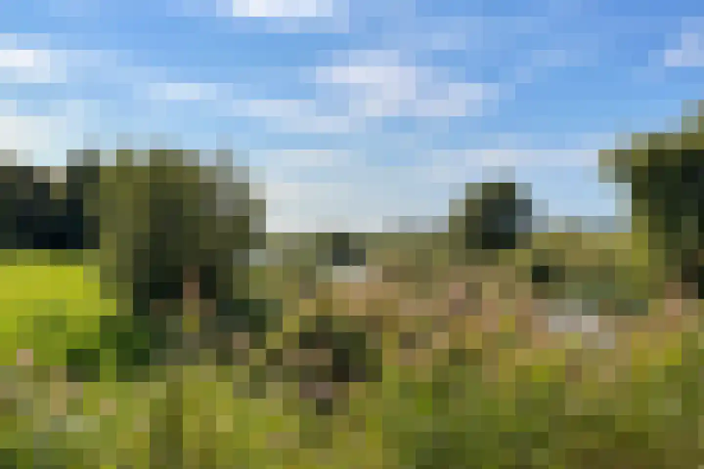 Zuidlangeweg 6 b Oudemolen thumbnail 43