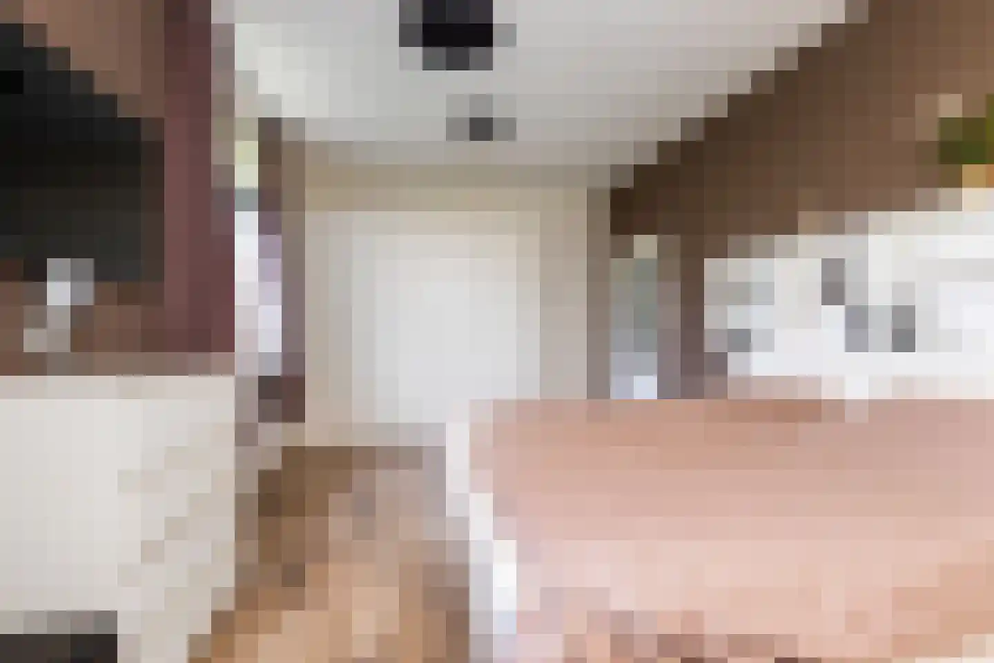 Zuidlooërweg 5 Bathmen thumbnail 12