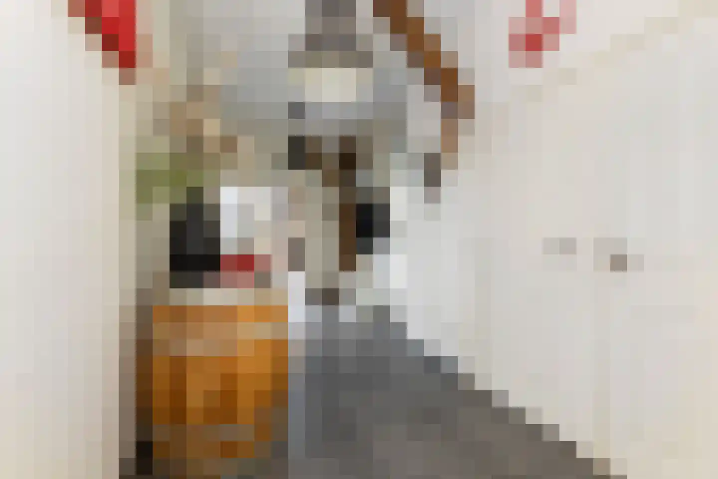 Zuidlooërweg 5 Bathmen thumbnail 16