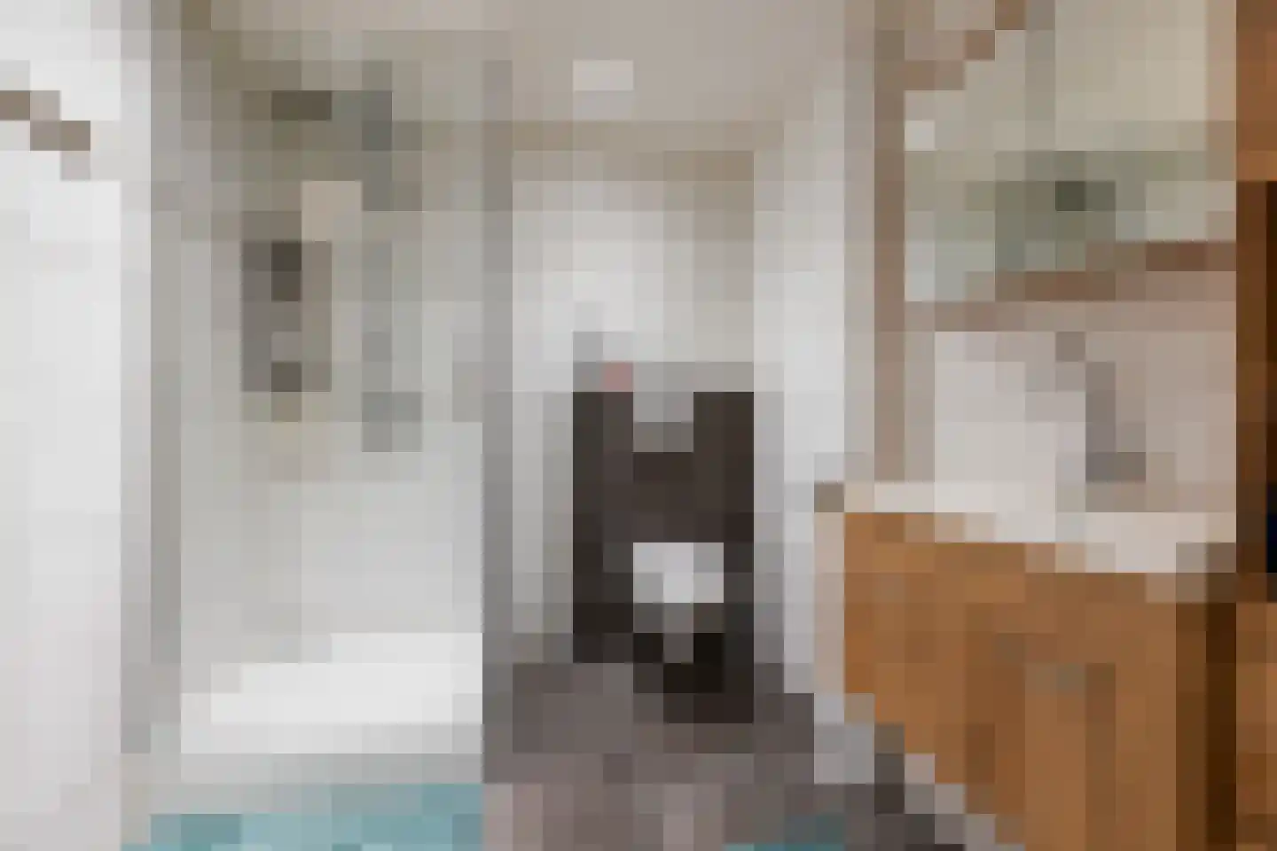 Zuidlooërweg 5 Bathmen thumbnail 25