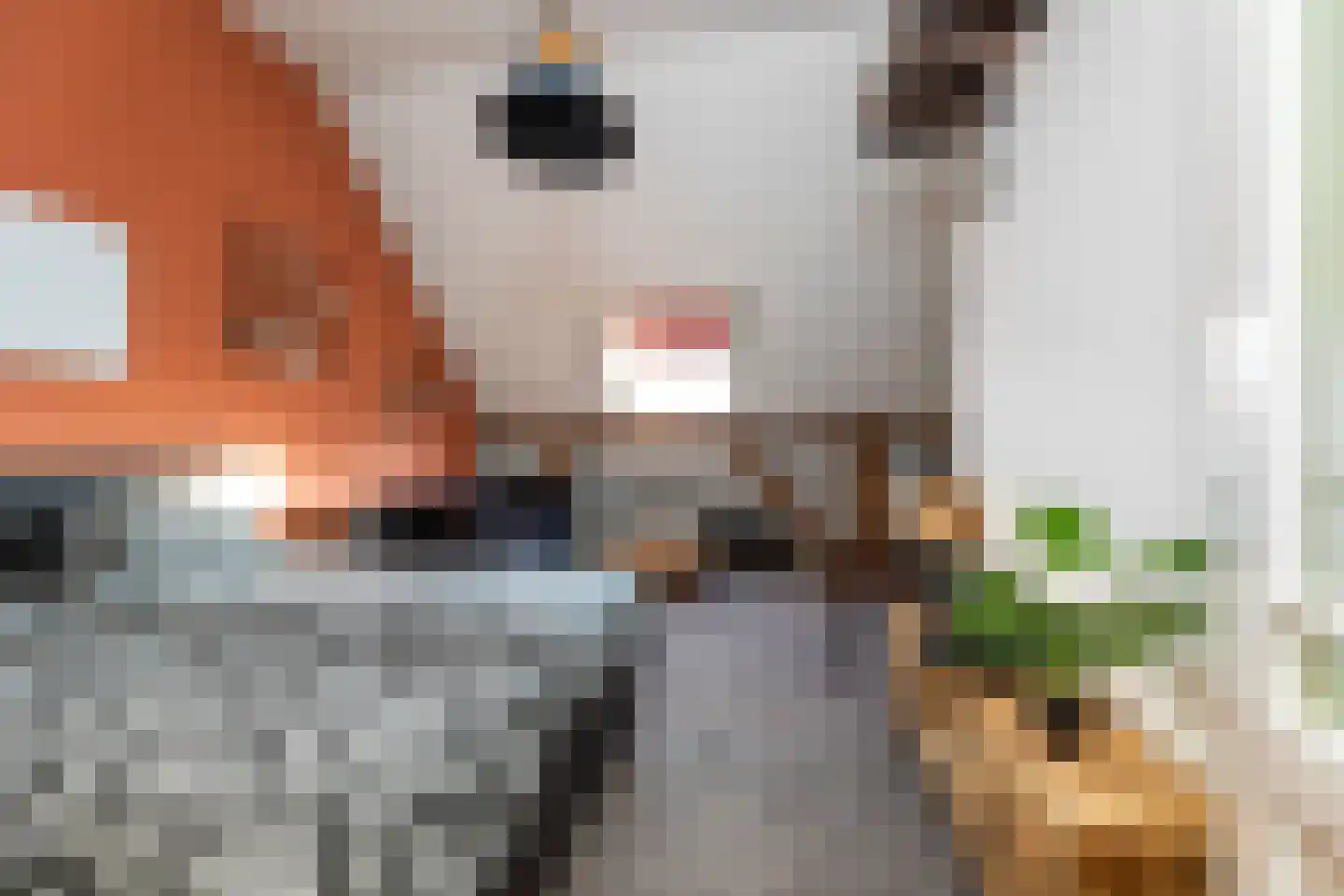 Zuidlooërweg 5 Bathmen thumbnail 26