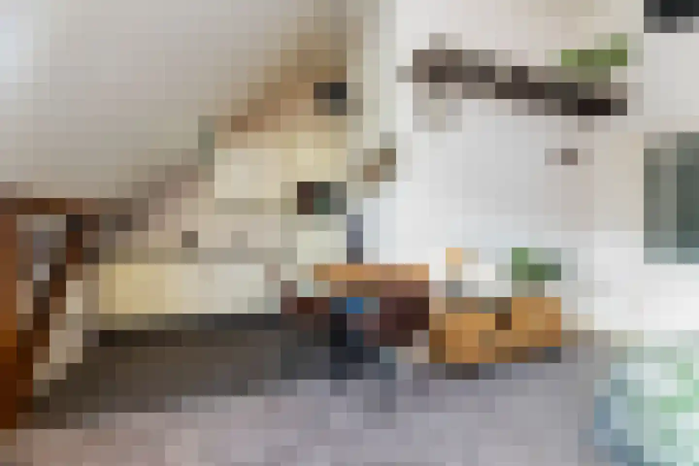 Zuidlooërweg 5 Bathmen thumbnail 27