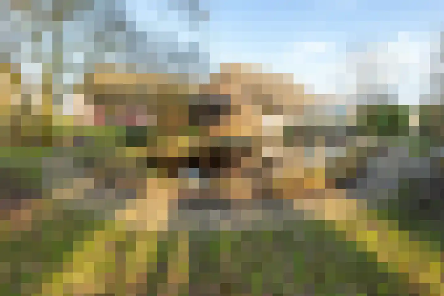 Zuidlooërweg 5 Bathmen thumbnail 31
