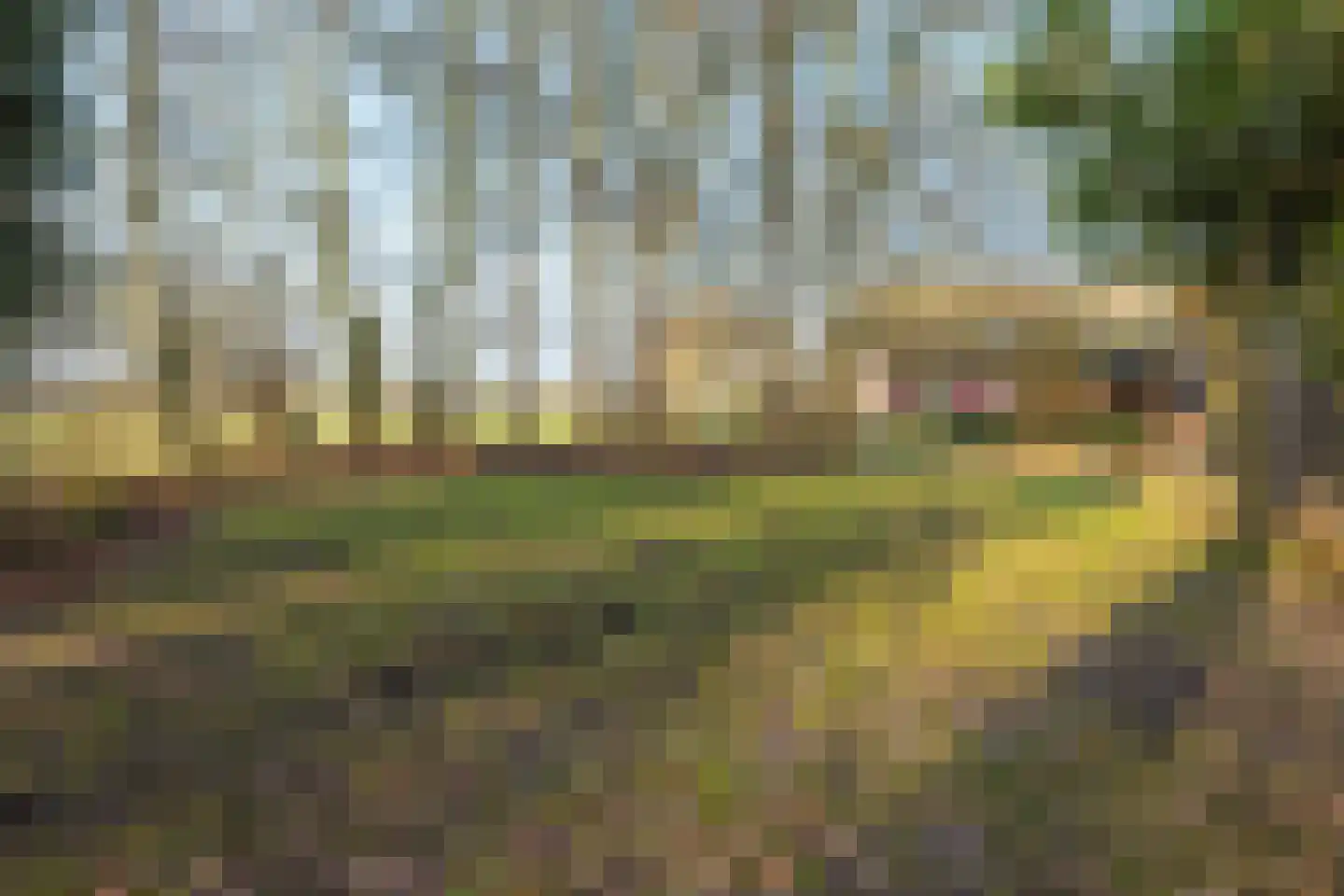 Zuidlooërweg 5 Bathmen thumbnail 32