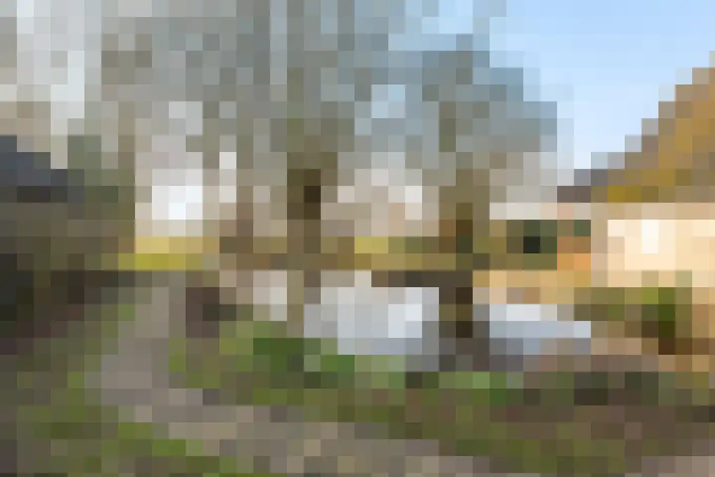 Zuidlooërweg 5 Bathmen thumbnail 34