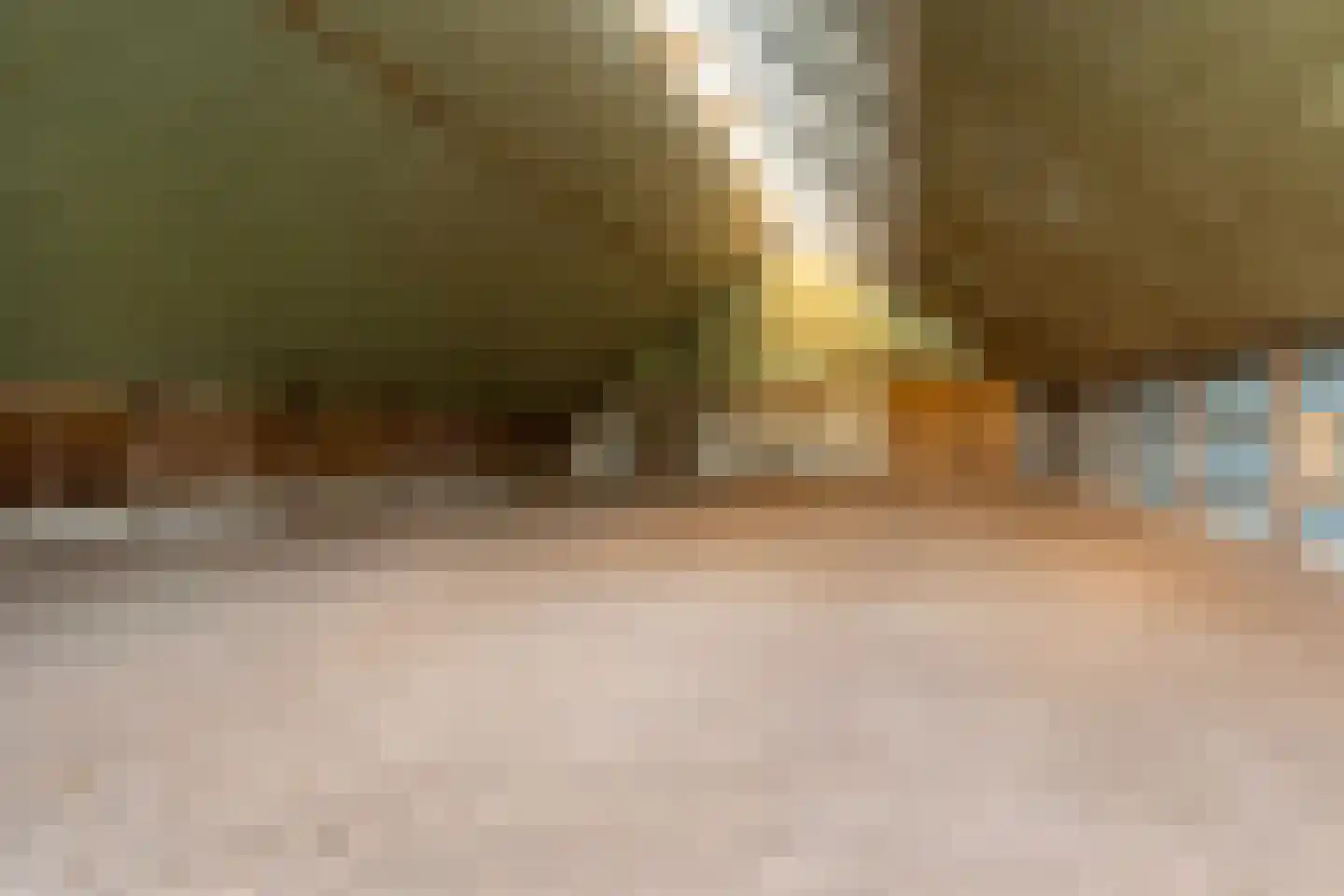 Zuidlooërweg 5 Bathmen thumbnail 42