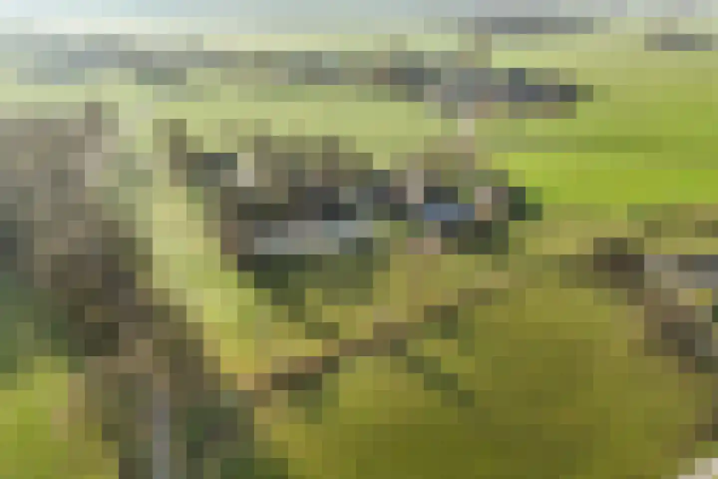 Zuidlooërweg 5 Bathmen thumbnail 45