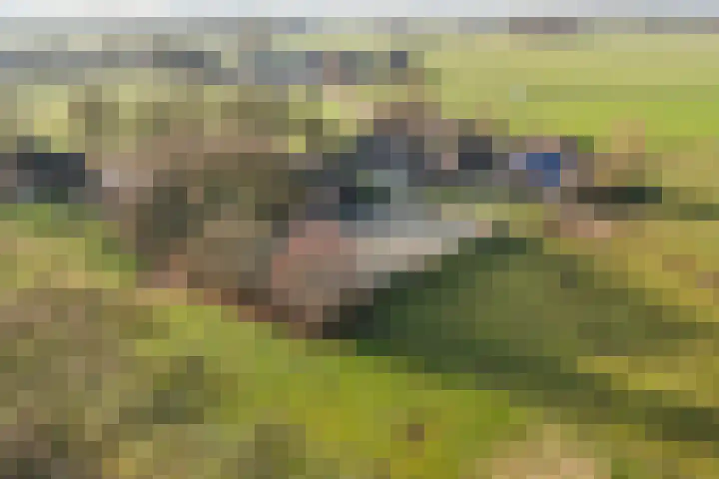 Zuidlooërweg 5 Bathmen thumbnail 47