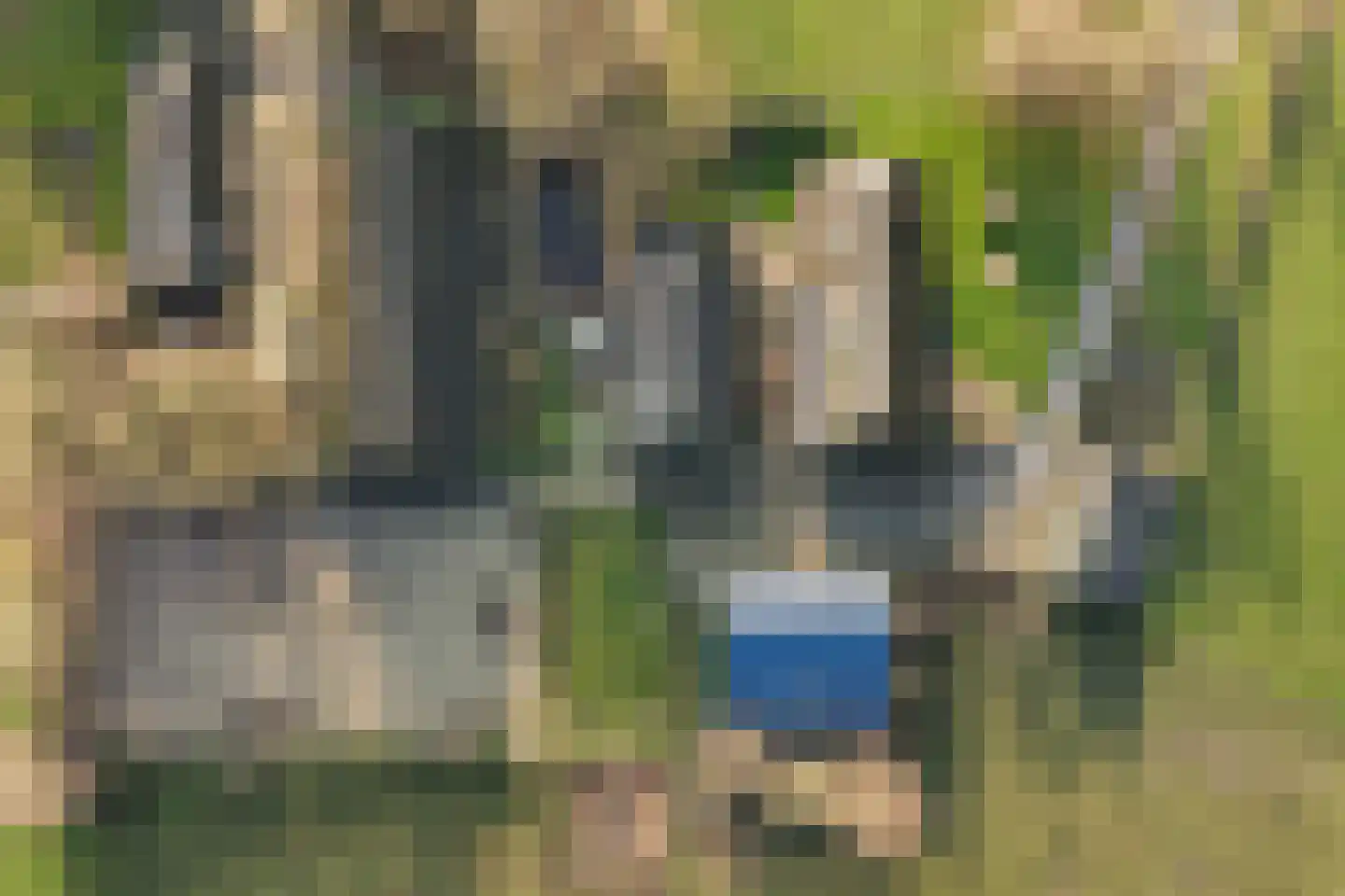 Zuidlooërweg 5 Bathmen thumbnail 49
