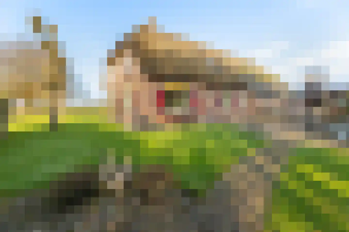 Zuidlooërweg 5 Bathmen thumbnail 5