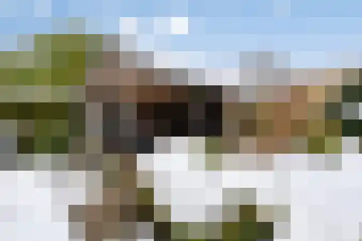 Zuidmaad 36 Oosterwolde thumbnail 34