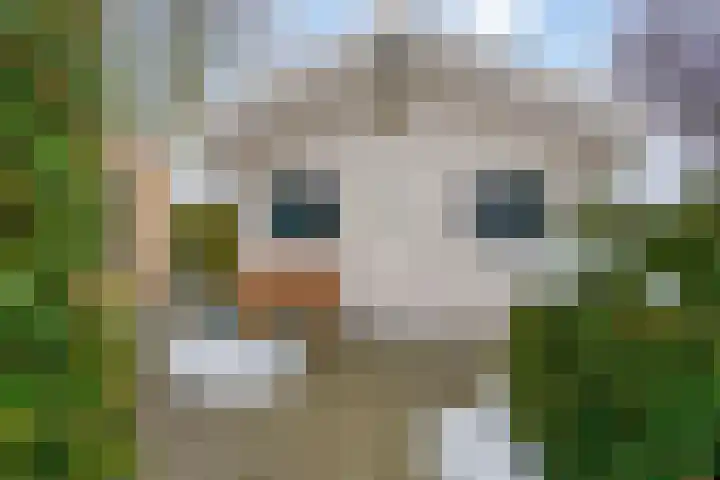 Zuidmaad 36 Oosterwolde thumbnail 39