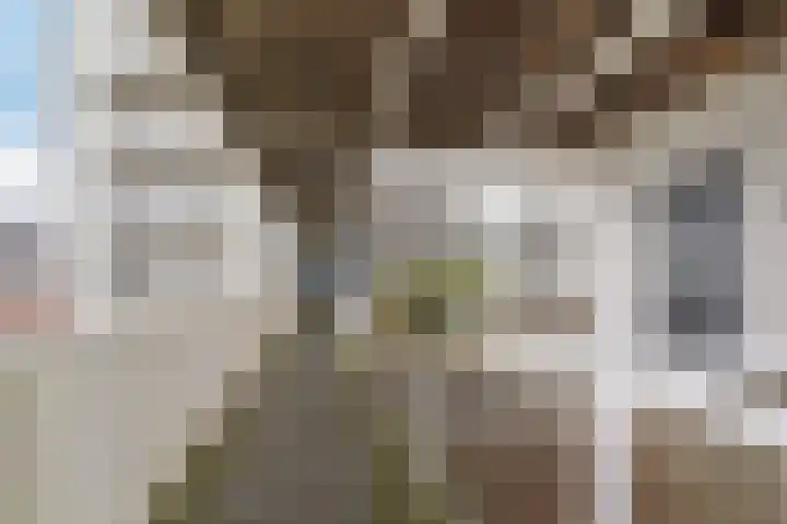 Zuidmade 12 Delft thumbnail 21