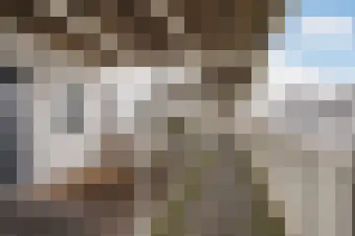 Zuidmade 12 Delft thumbnail 22