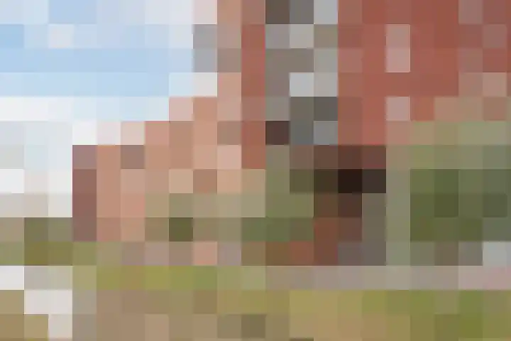 Zuidmade 12 Delft thumbnail 30