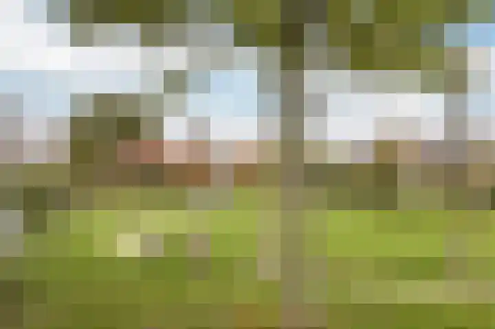 Zuidmade 12 Delft thumbnail 34