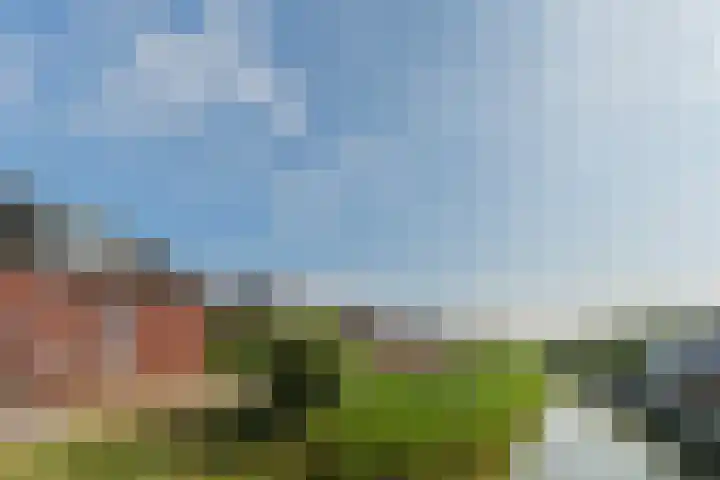 Zuidmade 22 Delft thumbnail 20