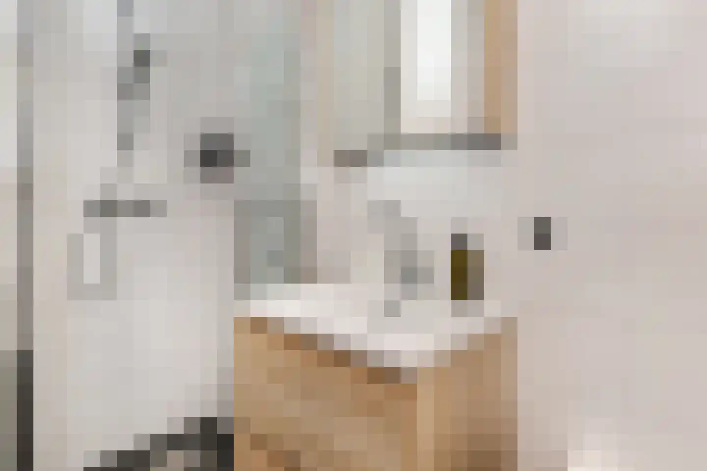 Zuidmade 40 Delft thumbnail 31