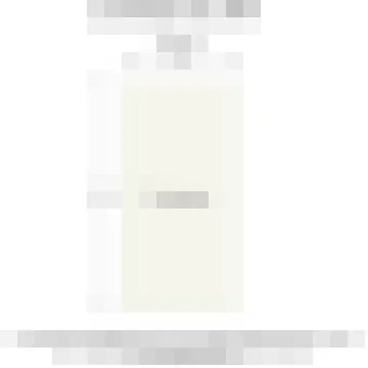 Zuidmade 50 Delft thumbnail 36