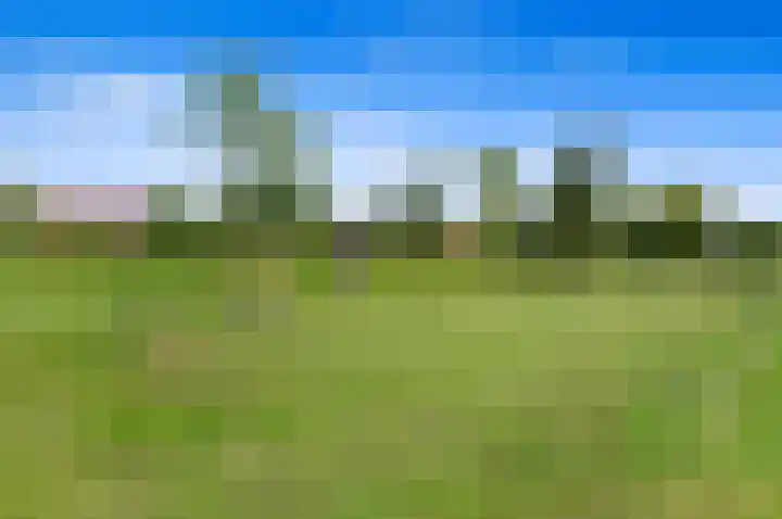 Zuidmade 50 Delft thumbnail 43