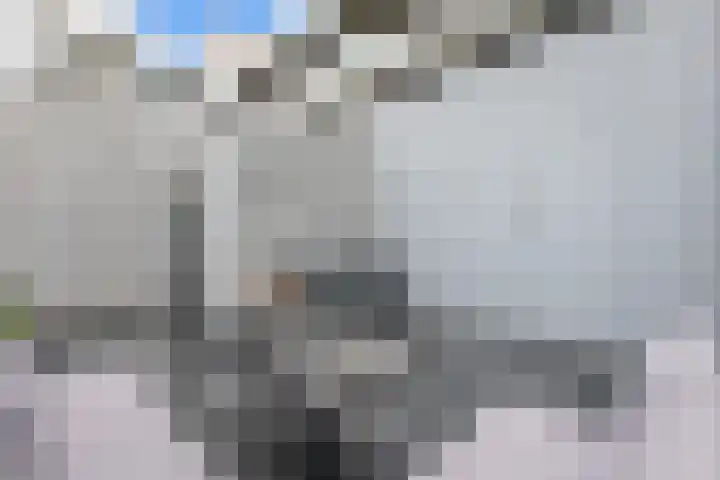 Zuidmade 60 Delft thumbnail 25
