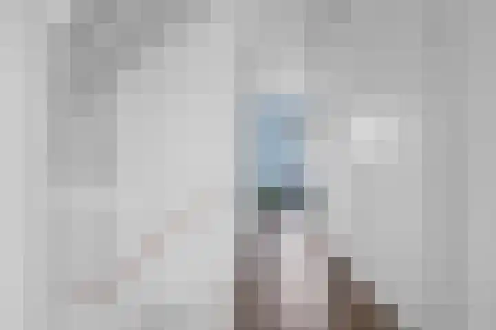 Zuidmade 60 Delft thumbnail 28