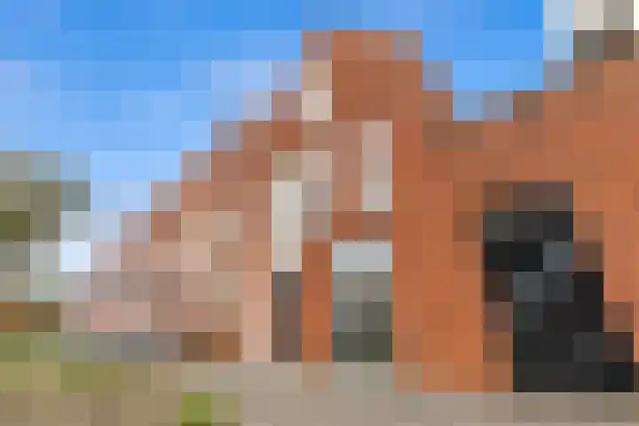 Zuidmade 60 Delft thumbnail 4