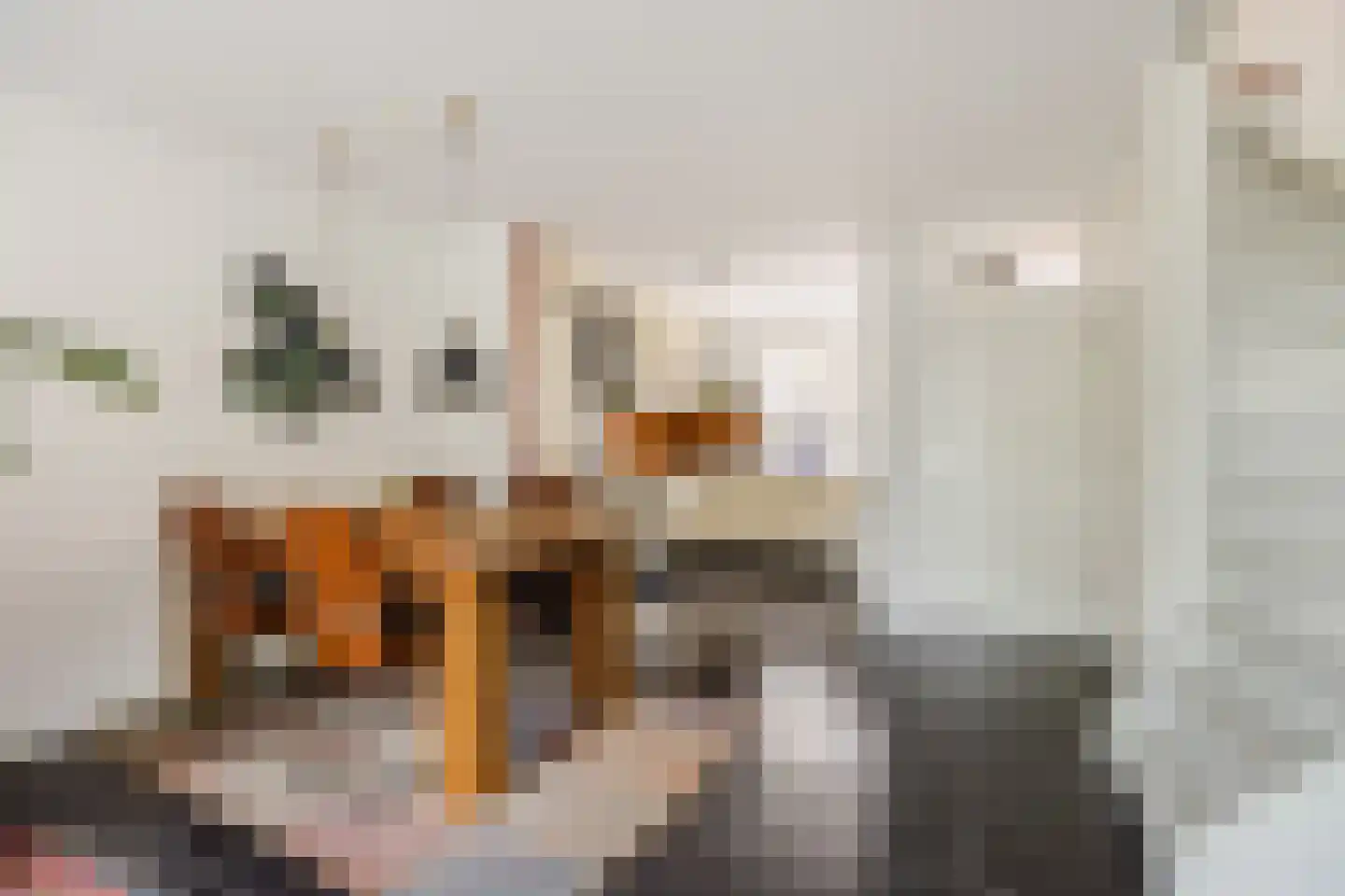 Zuidmolenstraat 42 Bergen op Zoom thumbnail 10
