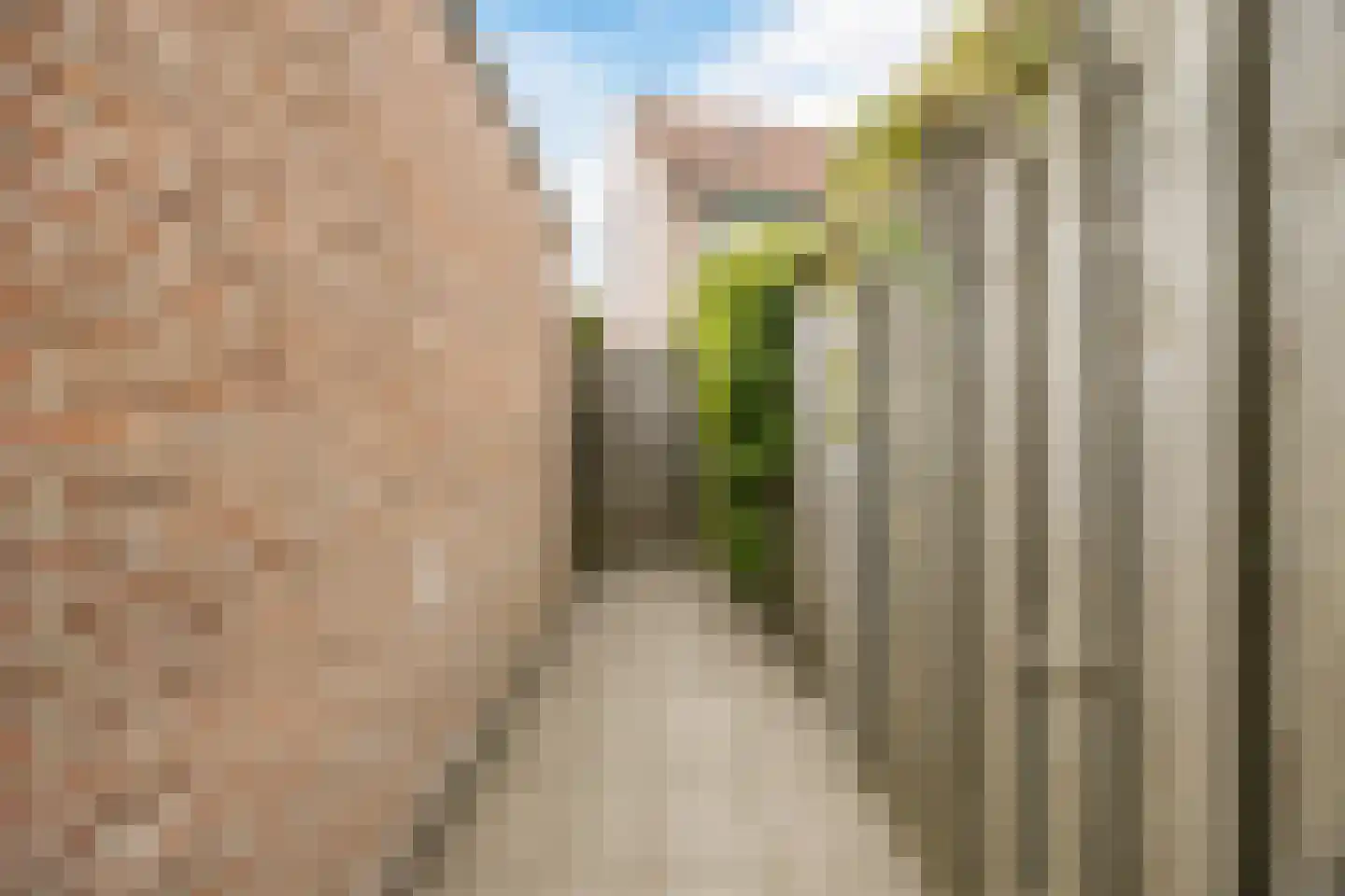 Zuidmolenstraat 42 Bergen op Zoom thumbnail 20