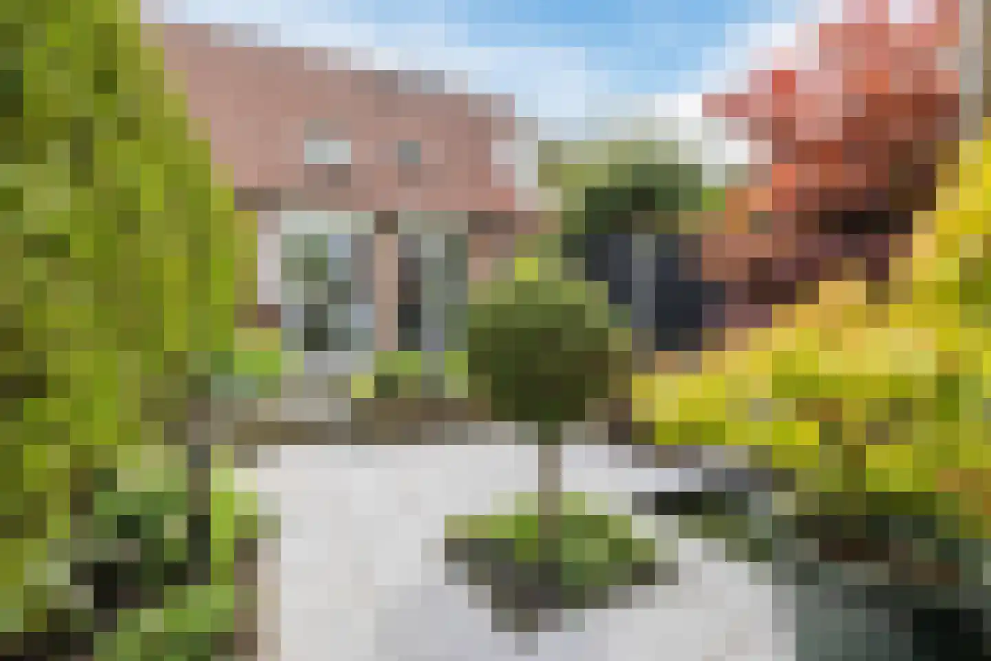 Zuidmolenstraat 42 Bergen op Zoom thumbnail 5