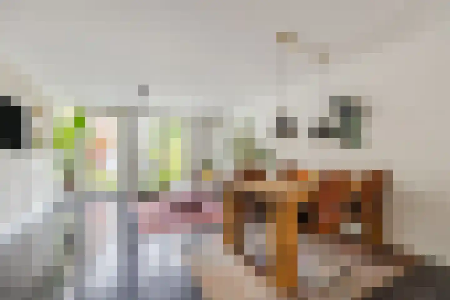Zuidmolenstraat 42 Bergen op Zoom thumbnail 7