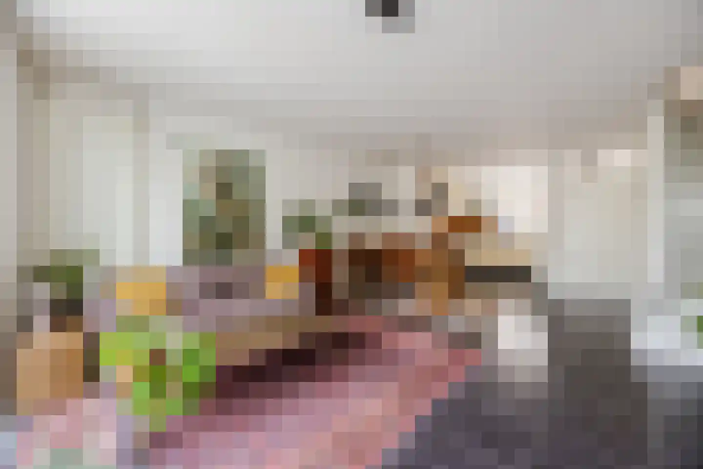 Zuidmolenstraat 42 Bergen op Zoom thumbnail 8