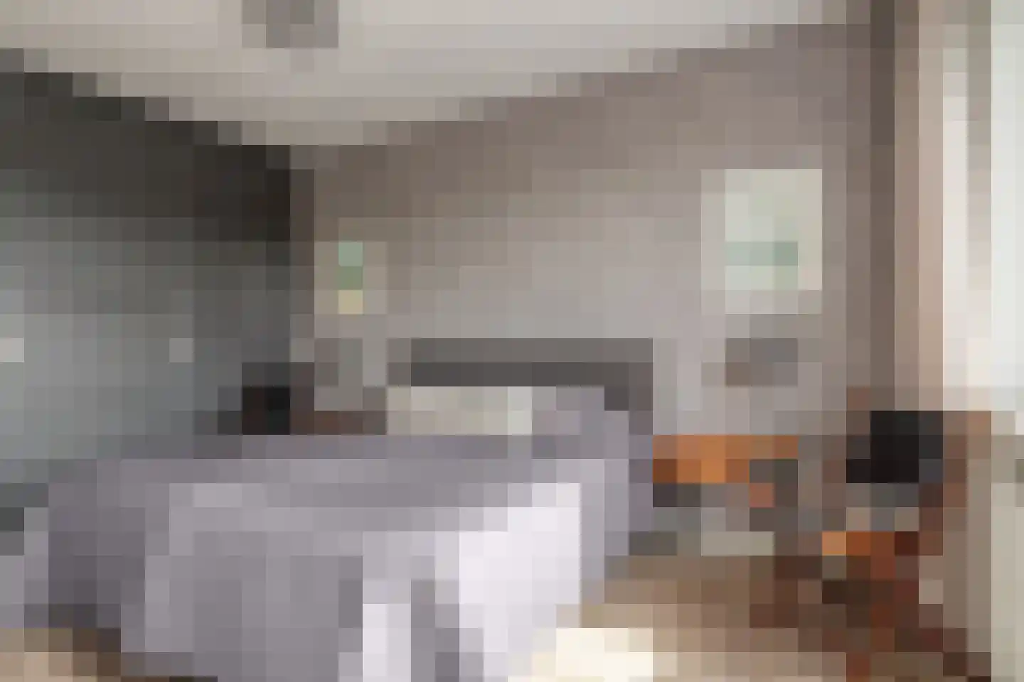 Zuidoever 13 Roelofarendsveen thumbnail 13