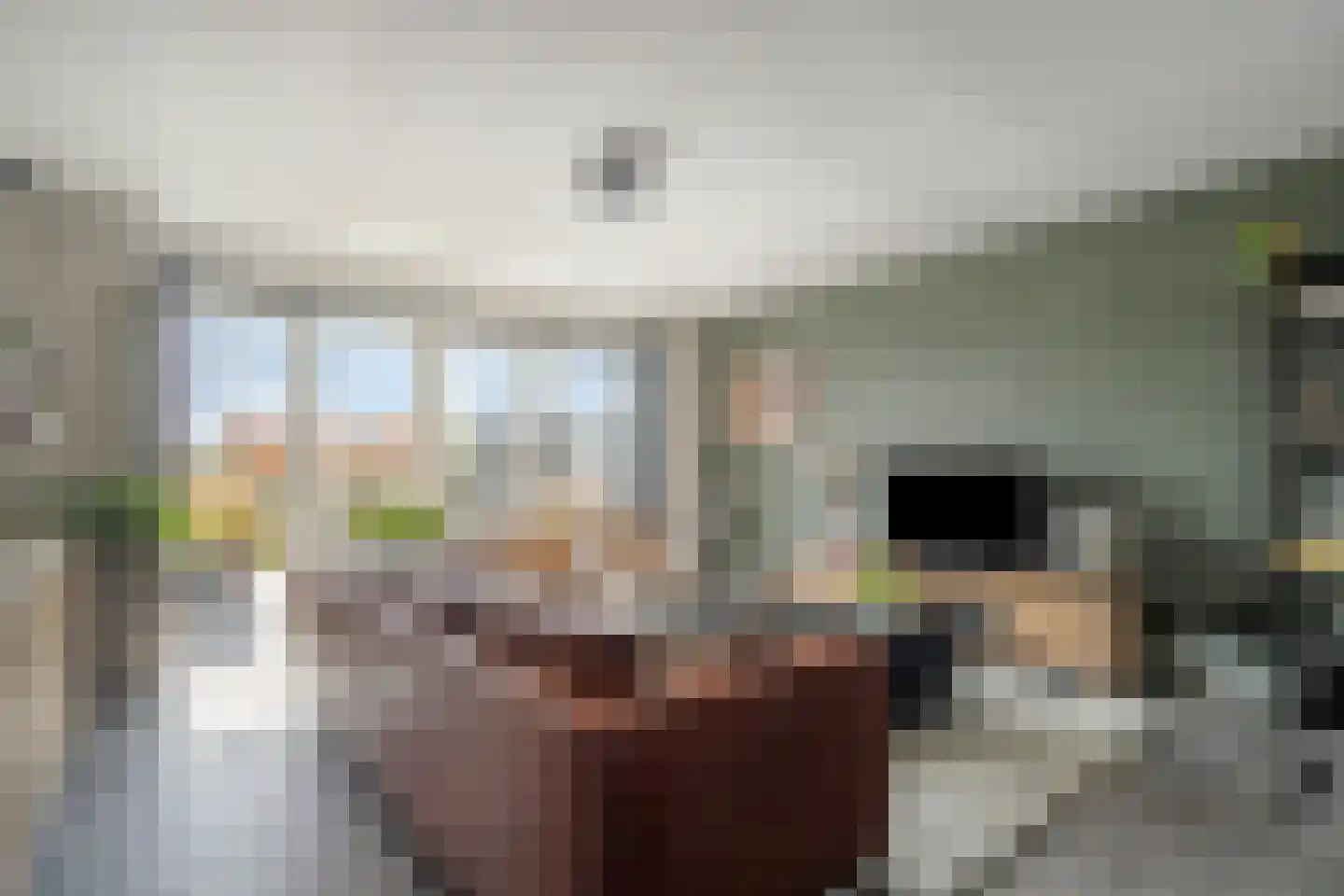 Zuidoever 13 Roelofarendsveen thumbnail 4