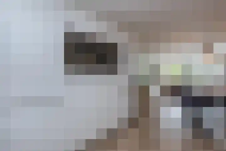 Zuidoever 15 Roelofarendsveen thumbnail 11