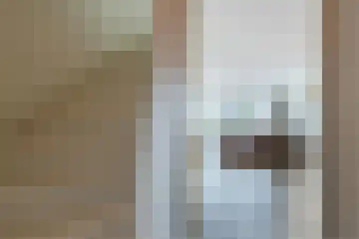 Zuidoever 15 Roelofarendsveen thumbnail 12