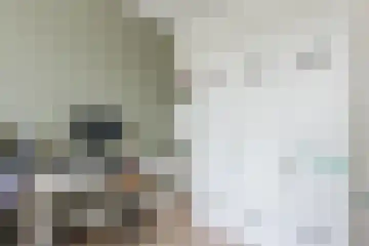 Zuidoever 15 Roelofarendsveen thumbnail 14