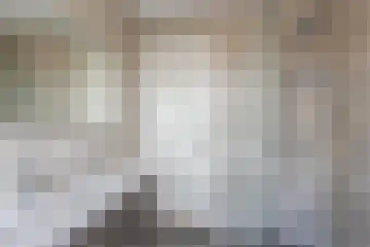 Zuidoever 15 Roelofarendsveen thumbnail 21