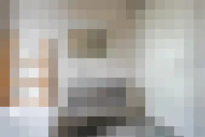 Zuidoever 15 Roelofarendsveen thumbnail 22